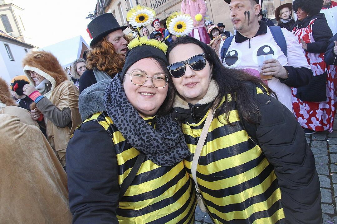 Fasching 2025 in Stadtsteinach!