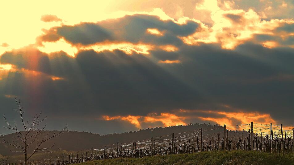 5 Top-Locations an der Südlichen Weinstraße: Hier lassen sich Wein und Lebensart genießen