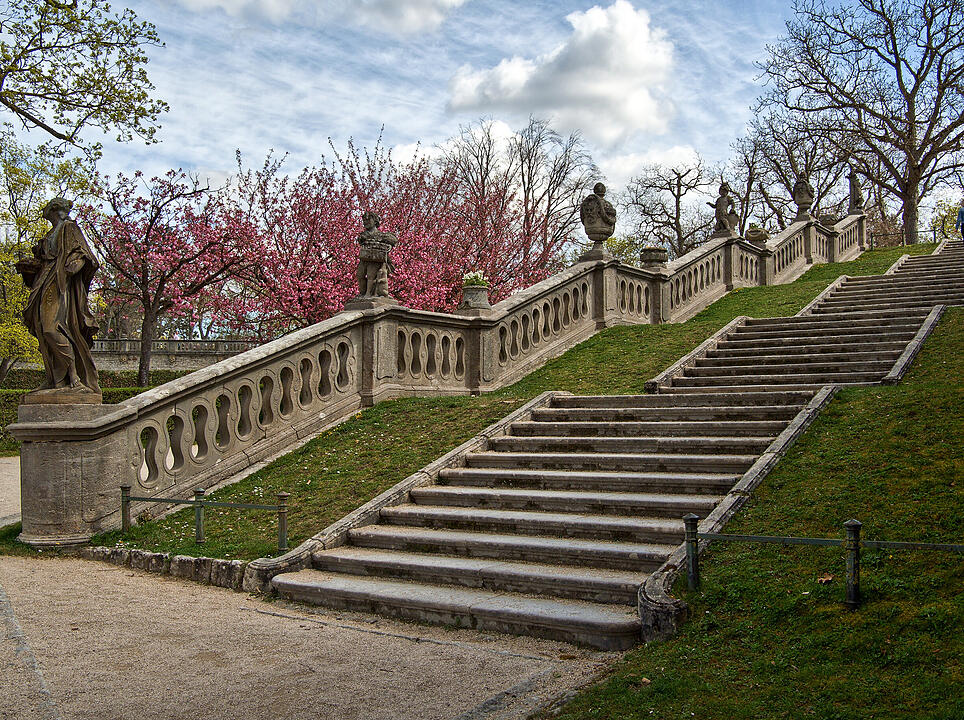 Baumblüte im Hofgarten der Würzburger Residenz