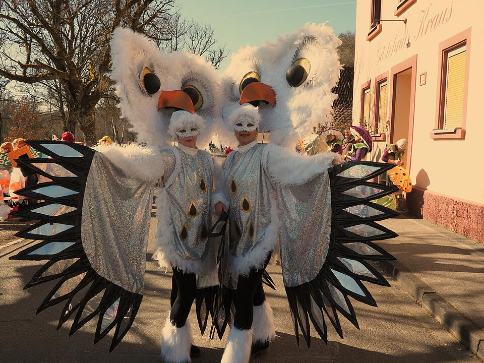 Fasching 2025 im Landkreis Bad Kissingen!