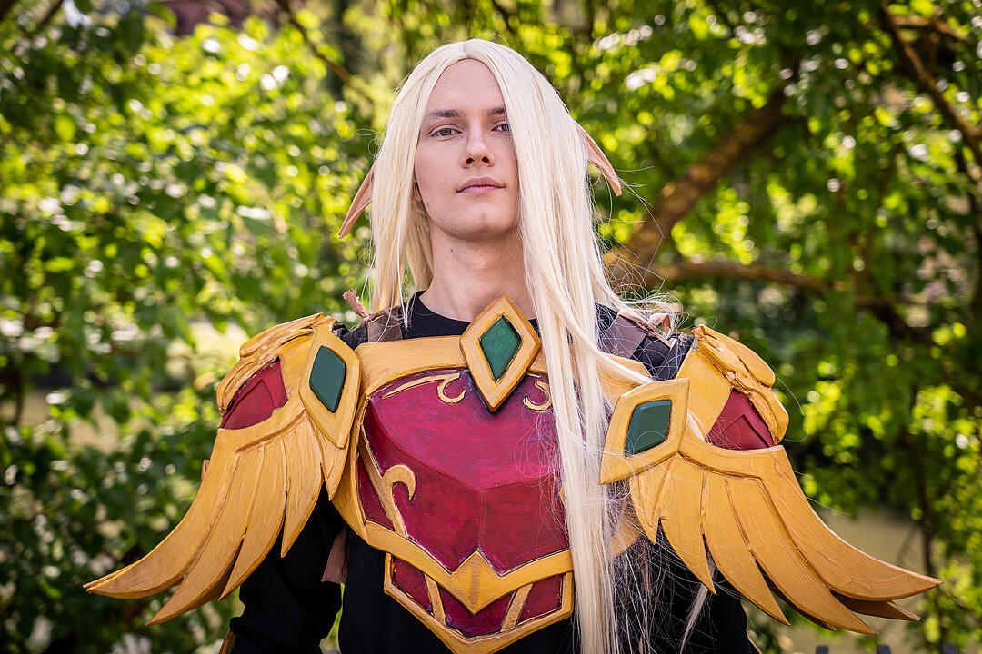 Ganz viele Cosplayer aus Nah und Fern feiern ihr Hobby!