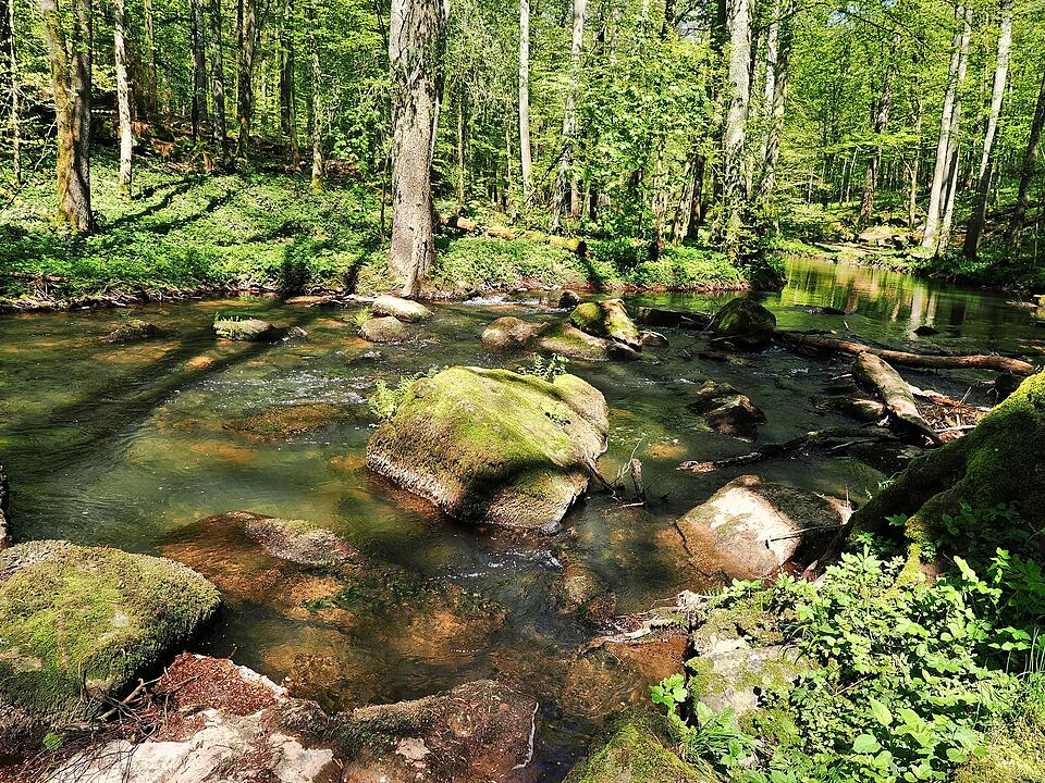 Die Wanderung führt durch eine Kernzone des Biosphärenreservats Rhön.