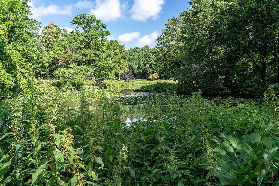Einer der ältesten Bürgerparks in Bayern