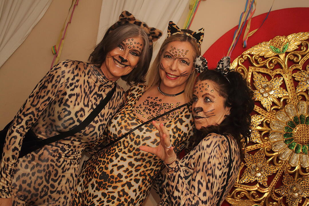 Fasching 2025 in Nürnberg!