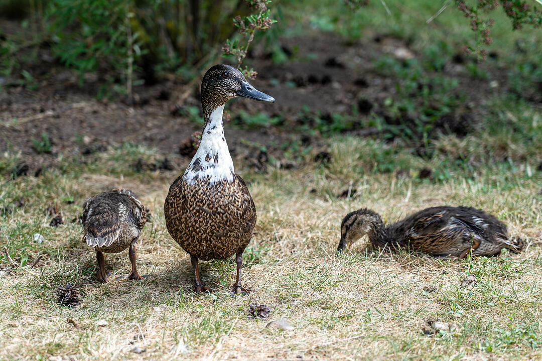 Einer der ältesten Bürgerparks in Bayern