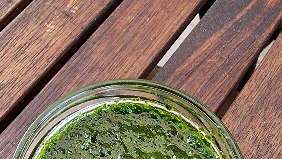 Bärlauch Pesto