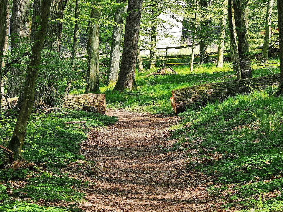 Die Wanderung führt durch eine Kernzone des Biosphärenreservats Rhön.