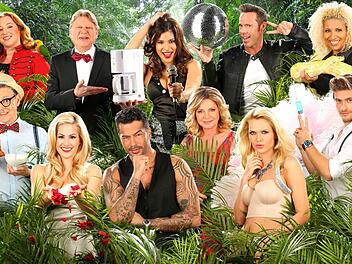 Foto: RTL, Alle Infos zu "Ich bin ein Star - Holt mich hier raus!" im Special bei RTL.de: www.rtl.de/cms/sendungen/ich-bin-ein-star.html