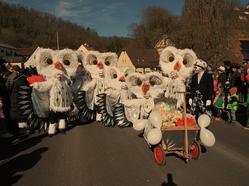 Fasching 2025 im Landkreis Bad Kissingen!