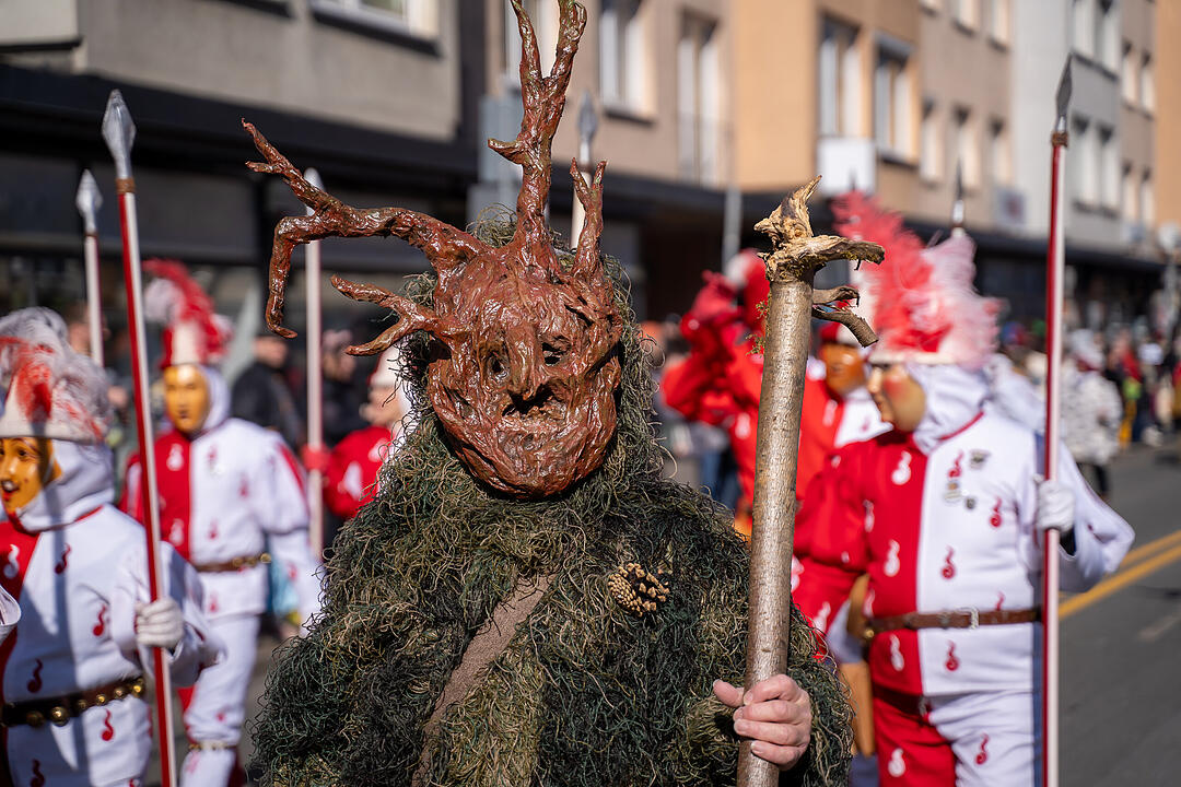 Fasching 2025 in Nürnberg!