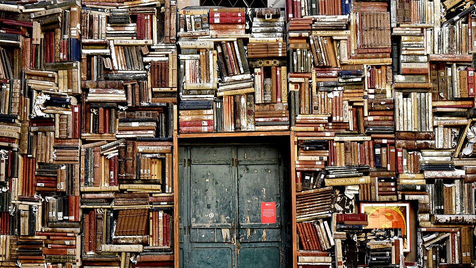 Fast eine halbe Million Bände gibt es in der Wissenschaftlichen Bibliothek Trier zu bestaunen.