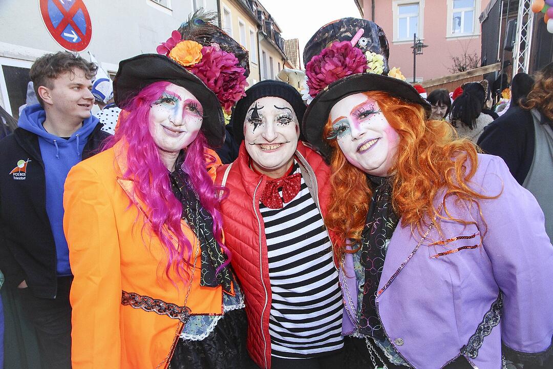 Fasching 2025 in Stadtsteinach!