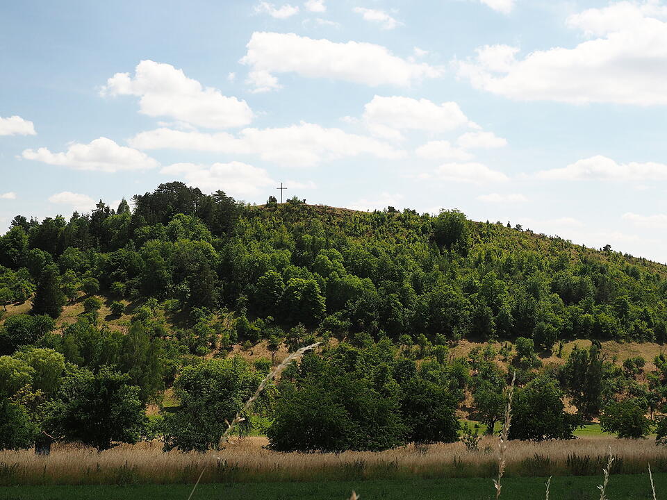 Die Lichtenburg ist eine Ruine auf dem Schloßberg.