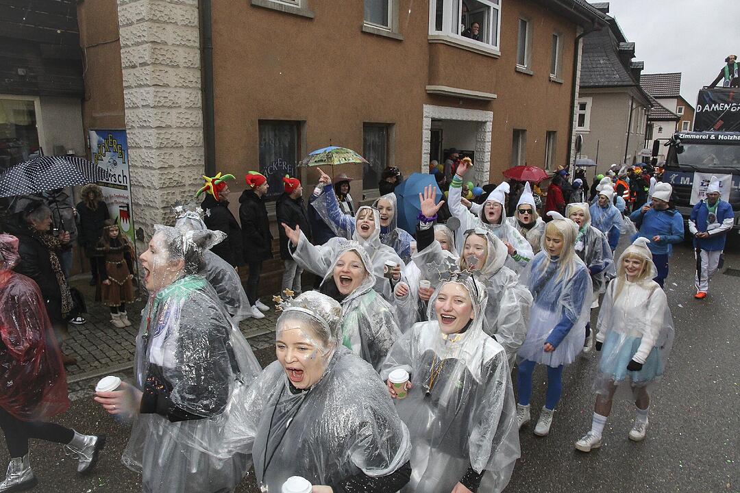 Stadtsteinacher Narrentreiben 2024