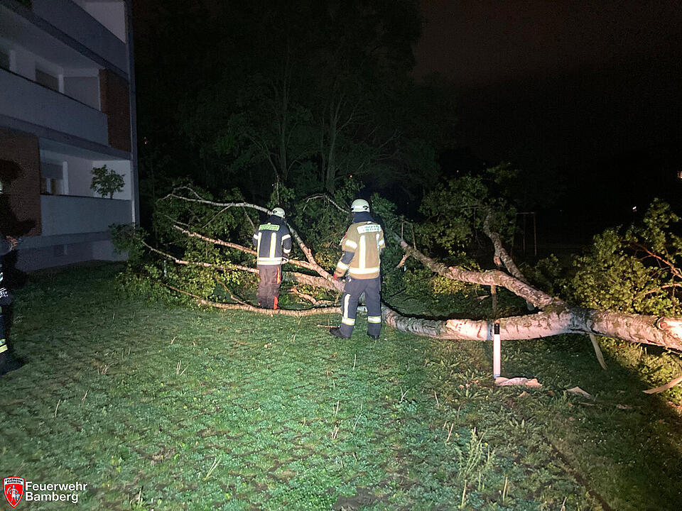Zahlreiche Einsätze durch Unwetter in Franken: Umgestürzte Bäume fordern Feuerwehr