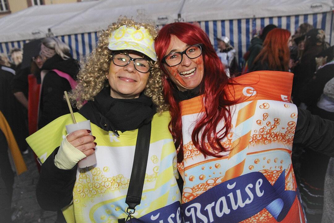 Fasching 2025 in Stadtsteinach!