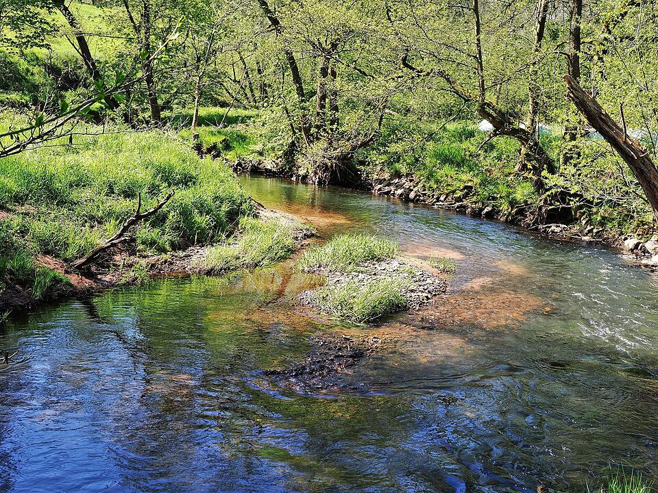 Die Wanderung führt durch eine Kernzone des Biosphärenreservats Rhön.