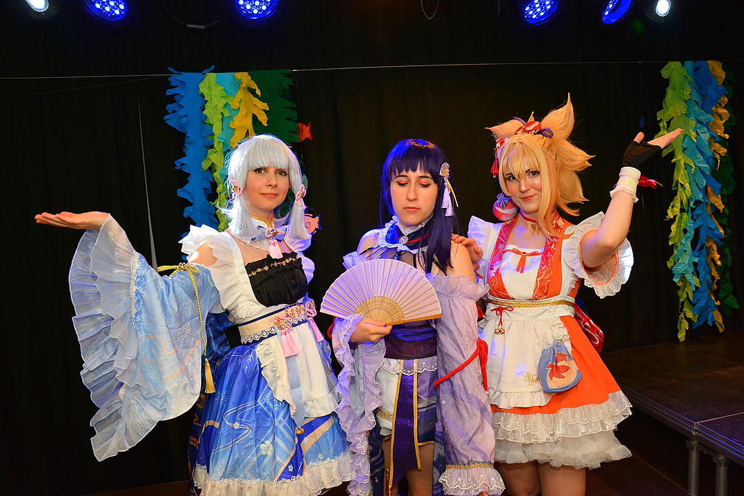 Zahlreiche Manga, Anime und Cosplay-Fans kamen nach Schweinfurt.