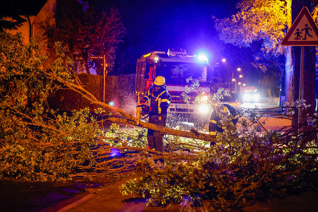 Zahlreiche Einsätze durch Unwetter in Franken: Umgestürzte Bäume fordern Feuerwehr