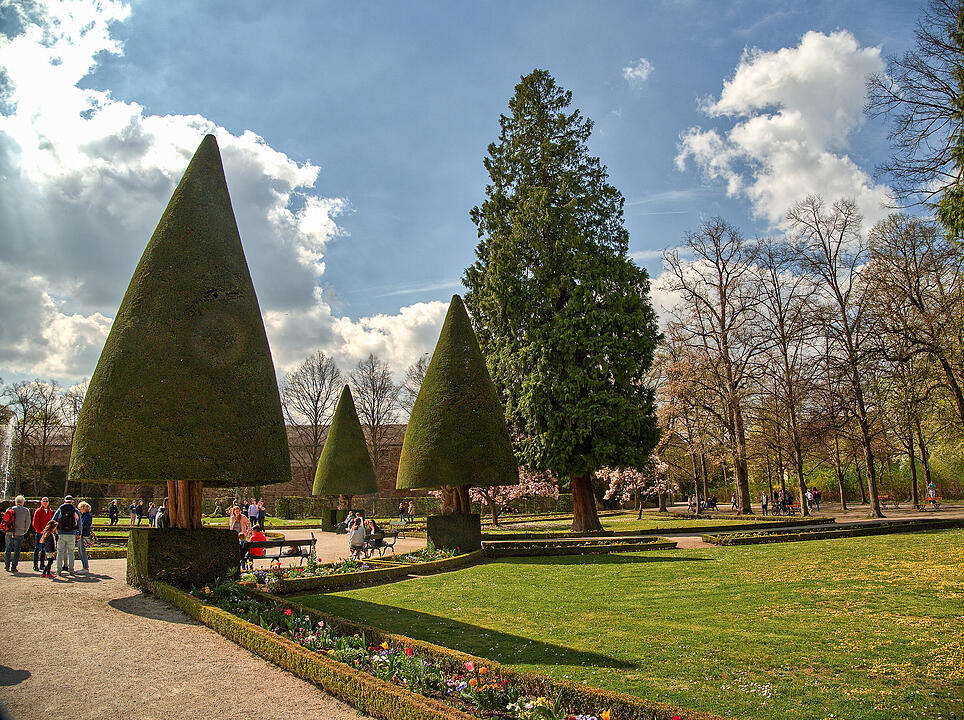 Baumblüte im Hofgarten der Würzburger Residenz