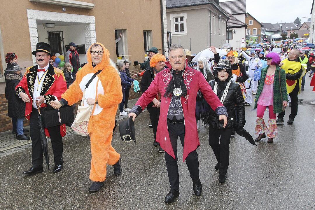 Stadtsteinacher Narrentreiben 2024