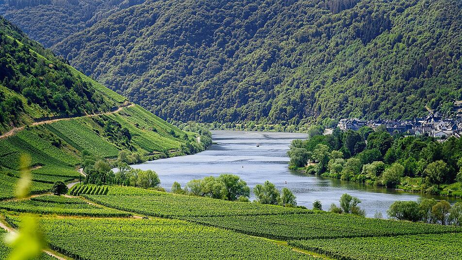So grün und prachtvoll sieht es im Weinbaugebiet Mosel aus.