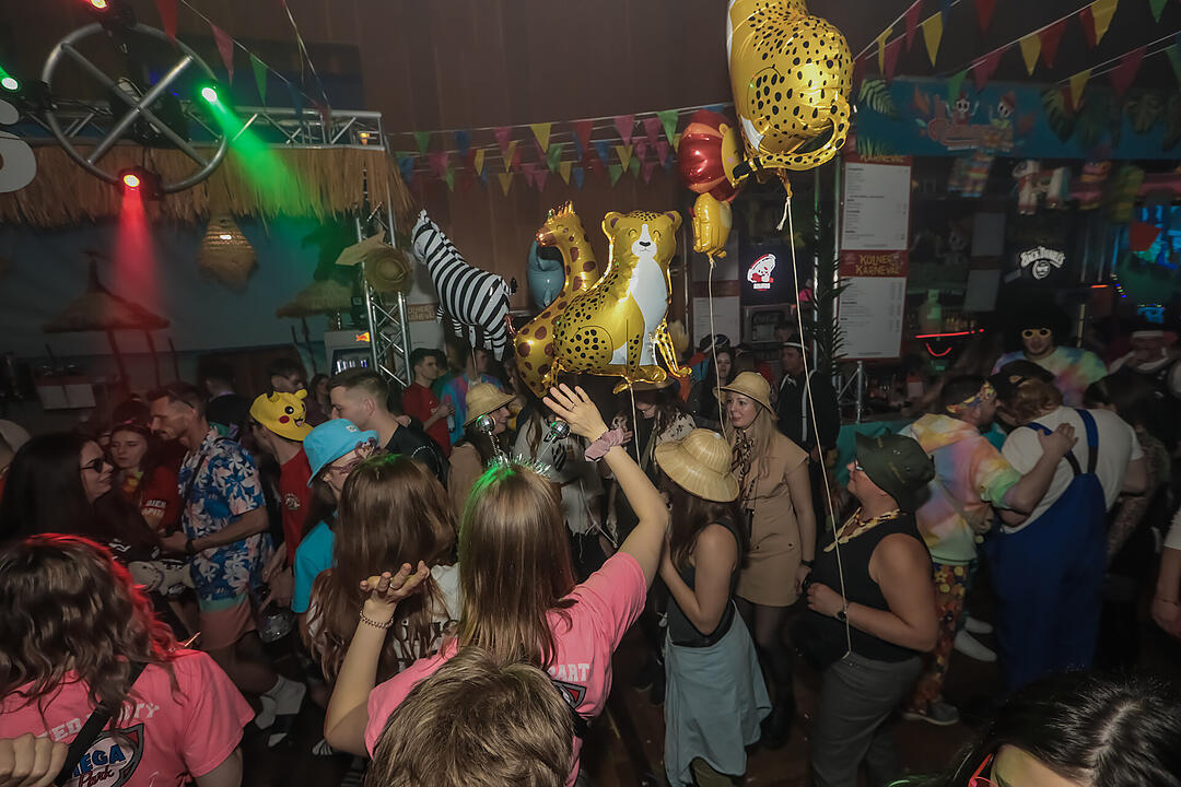 Fasching 2025 in Schweinfurt!