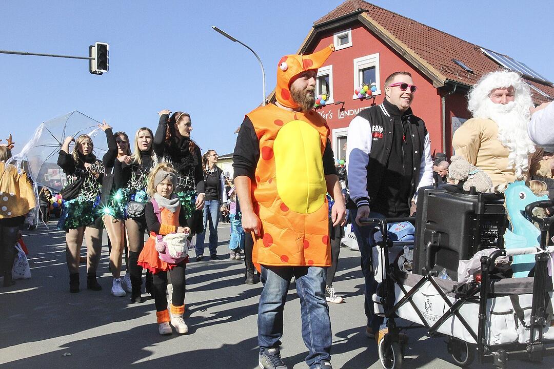 Fasching 2025 in Stadtsteinach!