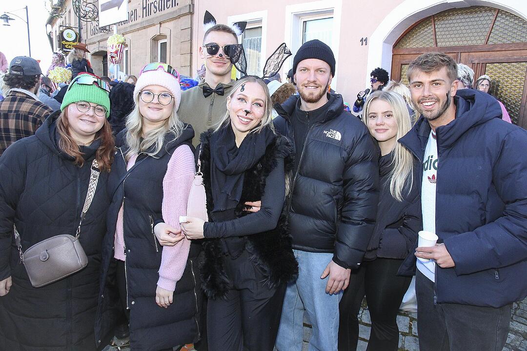 Fasching 2025 in Stadtsteinach!
