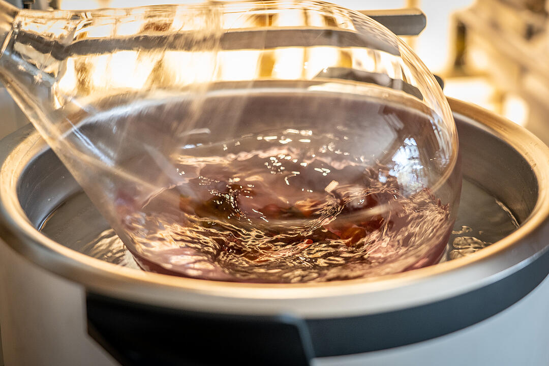 Die Premiere des Food-Festival lockte tausende Besucher an und war ein Mega-Erfolg.