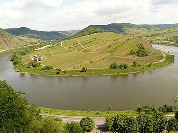 Der Calmont-Klettersteig befindet sich an einem steilen Weinberg in Rheinland-Pfalz.